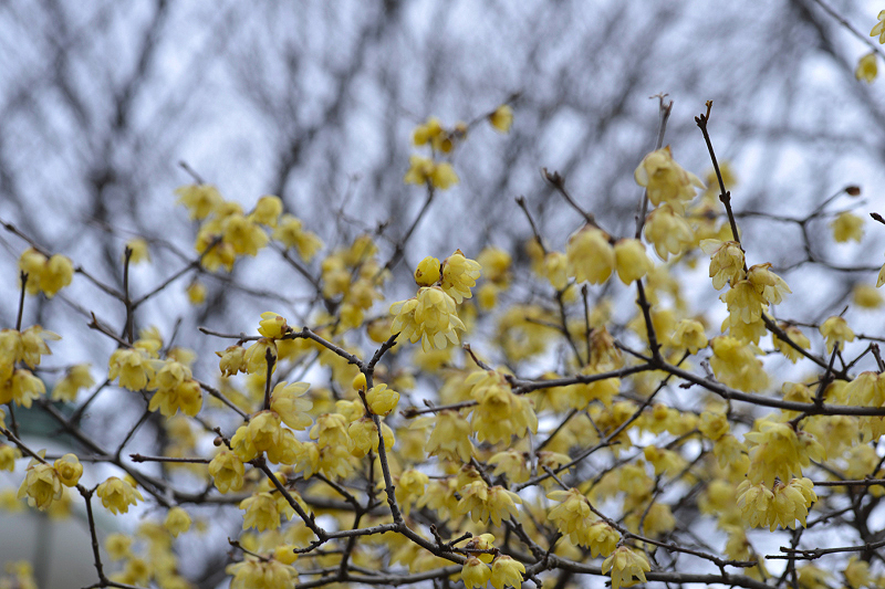 image0211