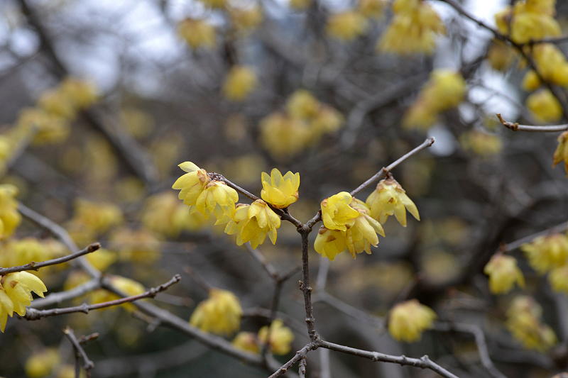 image0212