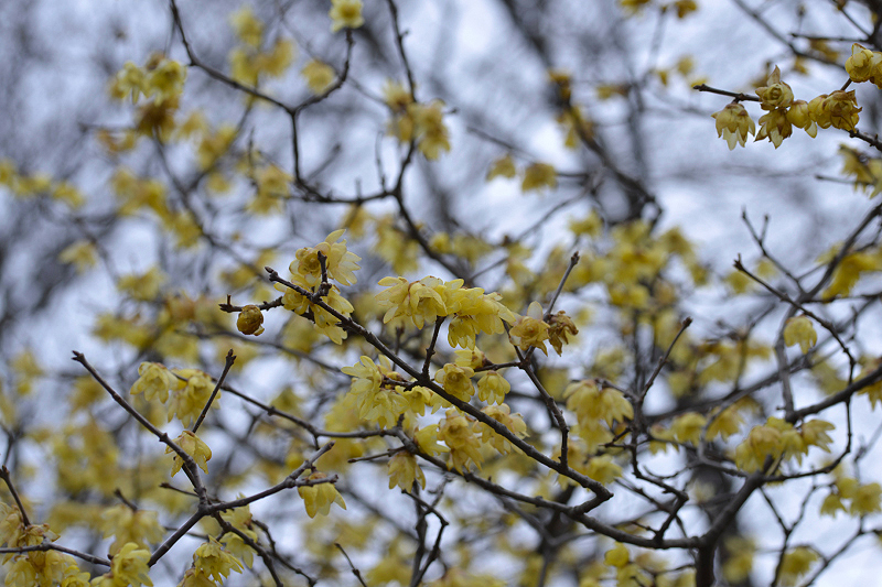 image0213