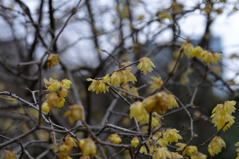 image0214