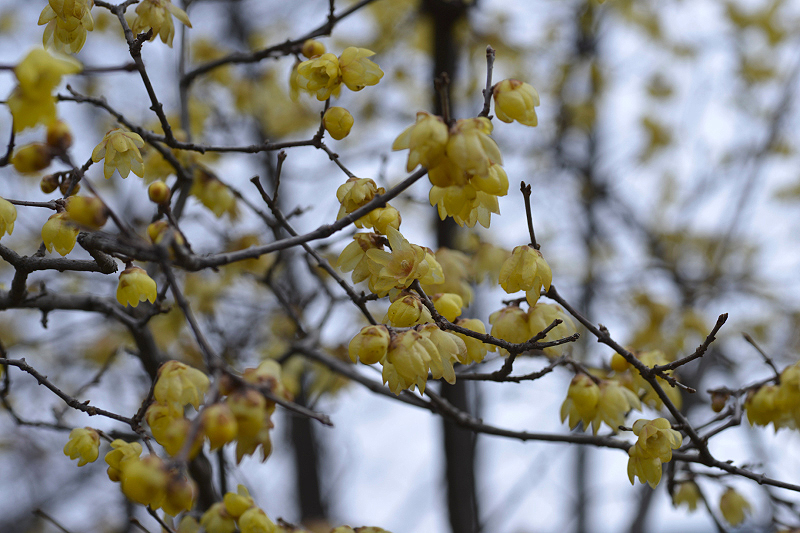image0215