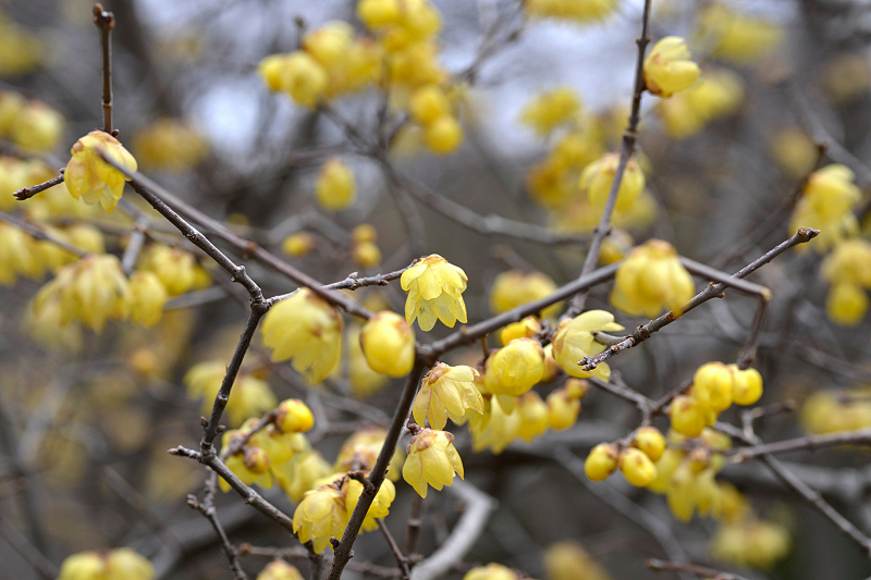 image0216