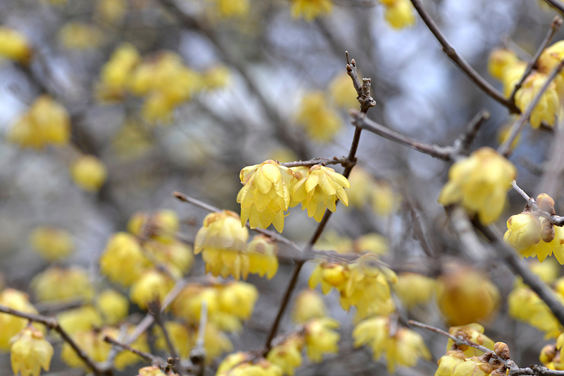 image0217