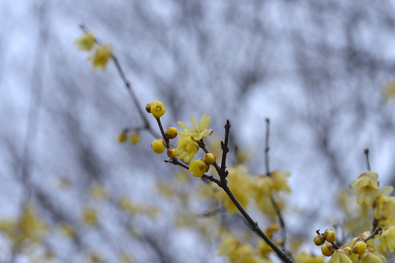 image0218