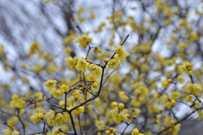 image0219