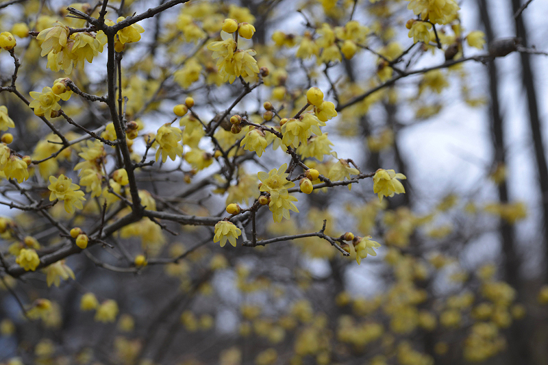 image0220