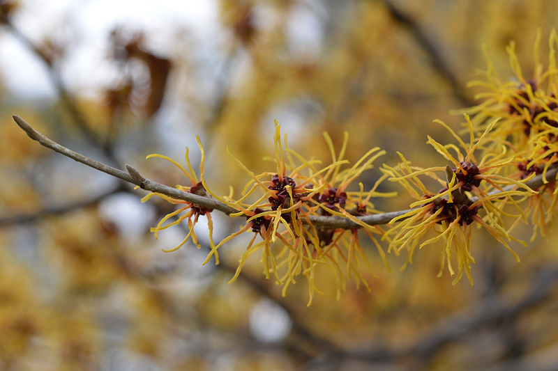 image0221