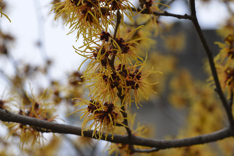 image0223