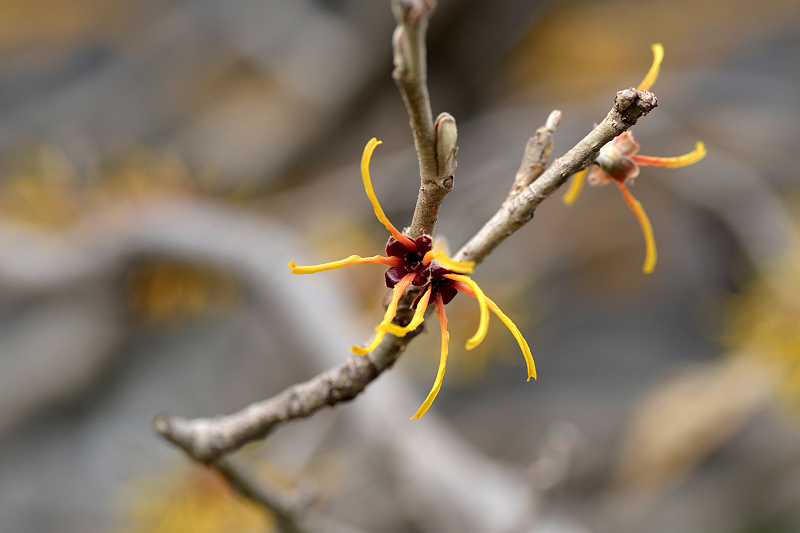 image0226
