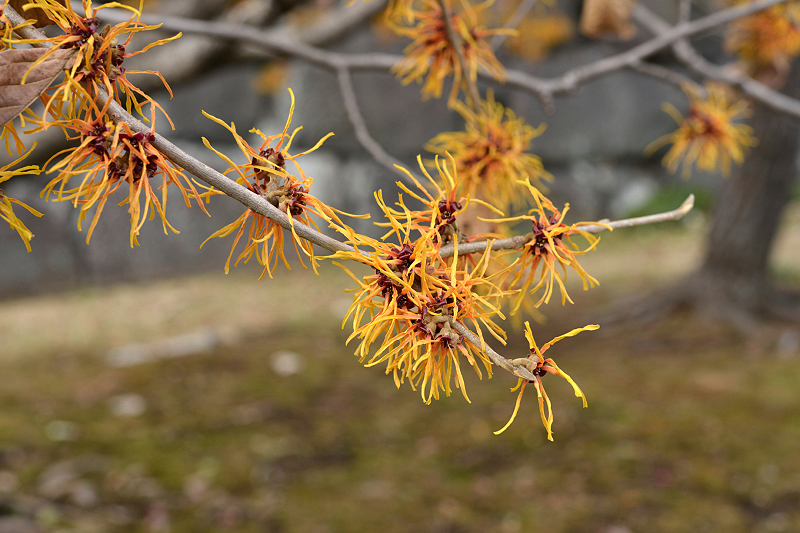 image0232