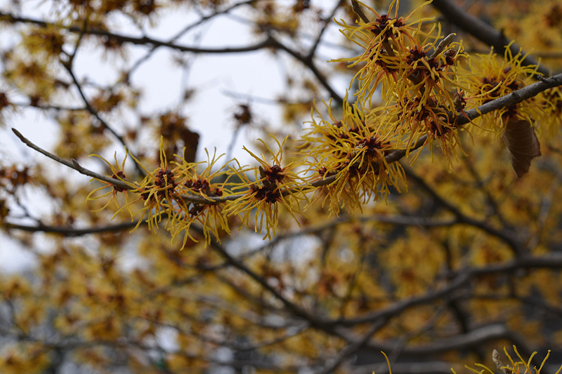 image0236