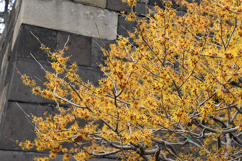 image0237