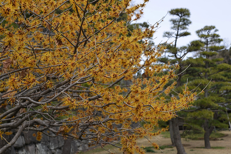 image0238