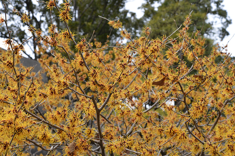 image0240