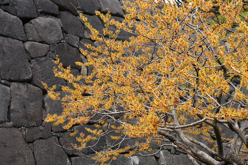 image0242