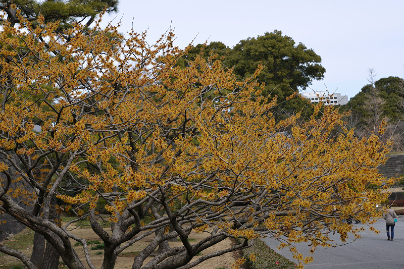 image0243