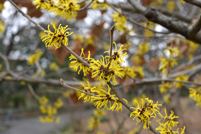 image0246