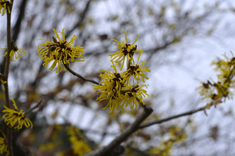 image0248