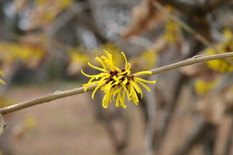 image0249