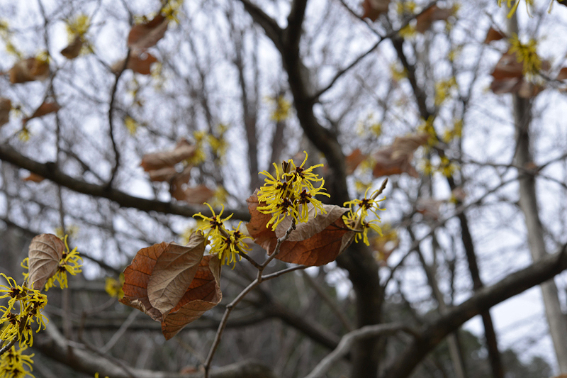 image0251