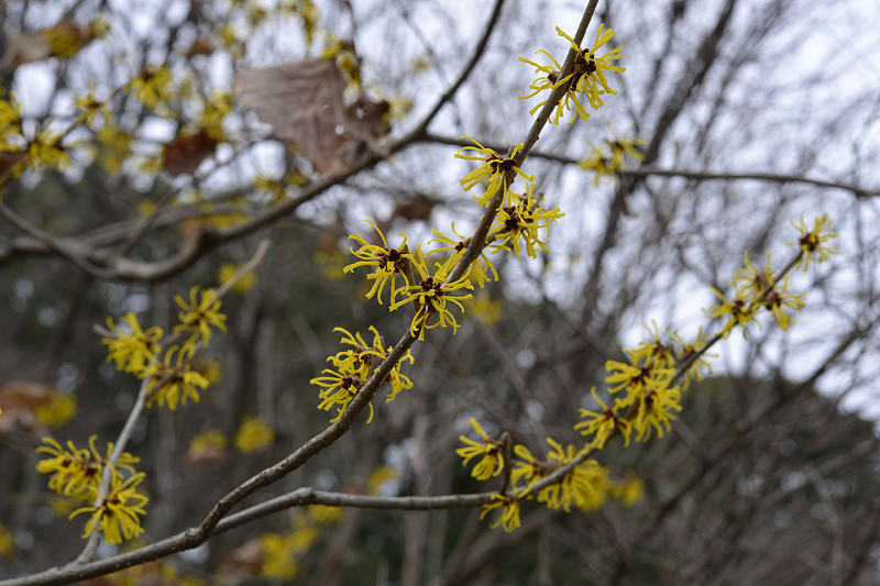 image0256