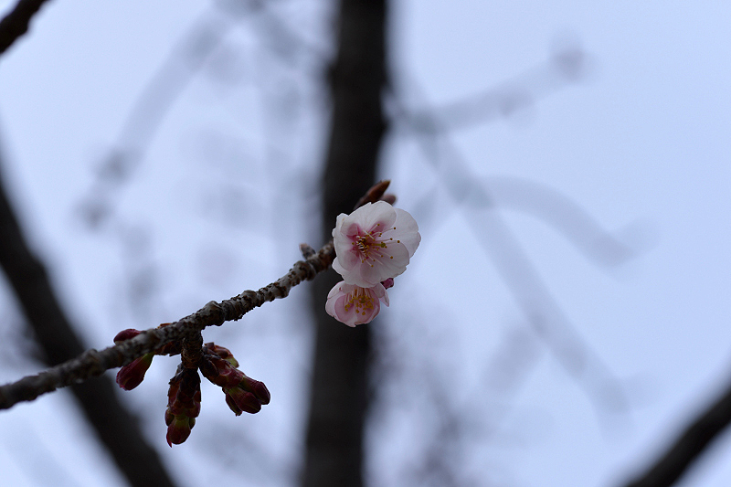 image0263