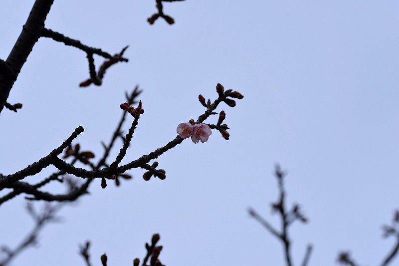 image0266