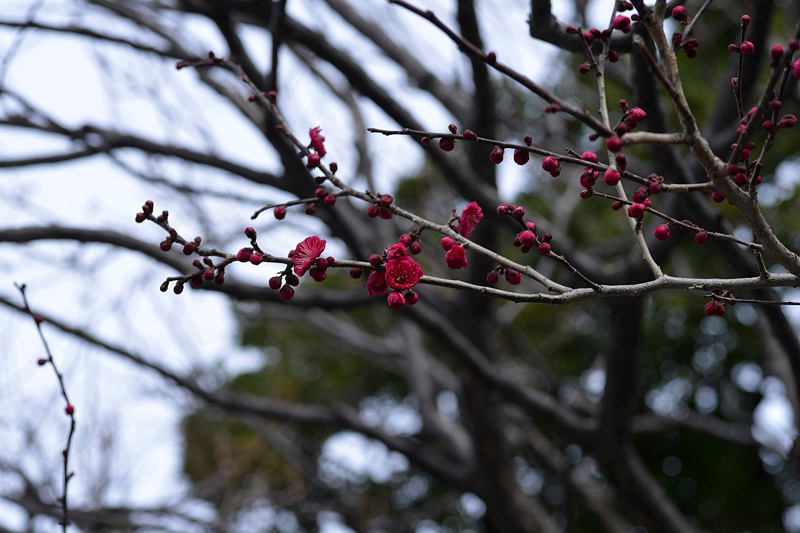 image0267