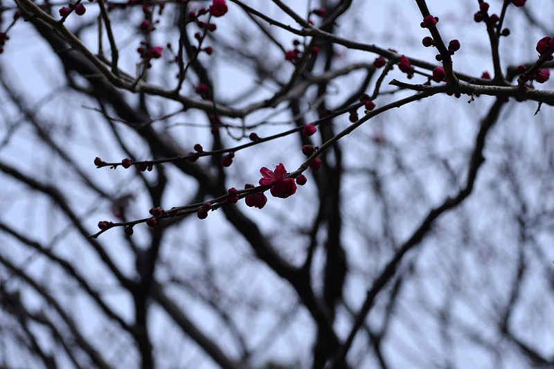 image0268