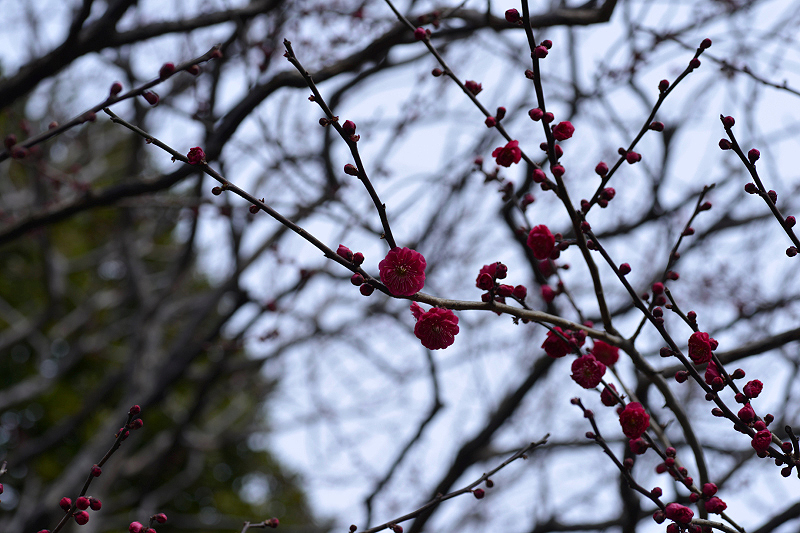 image0269
