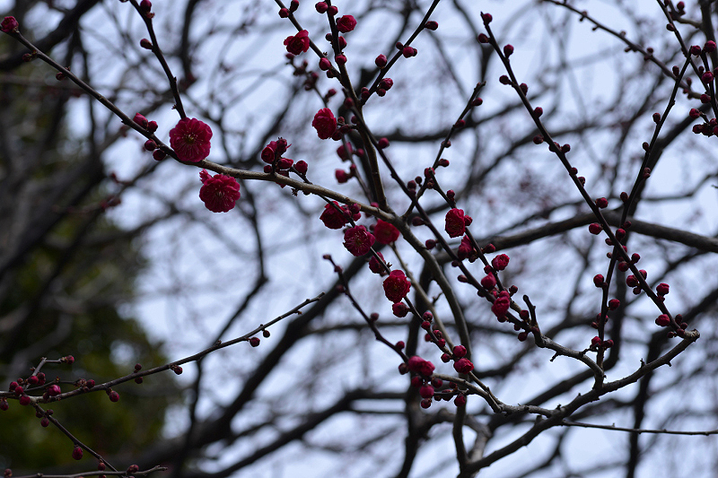 image0270