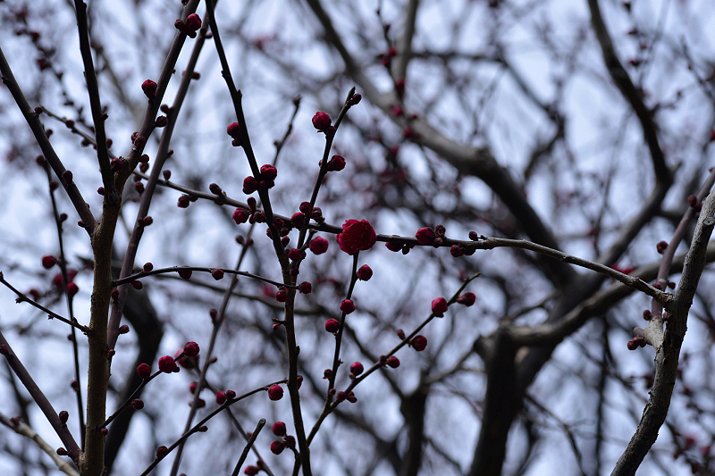 image0271