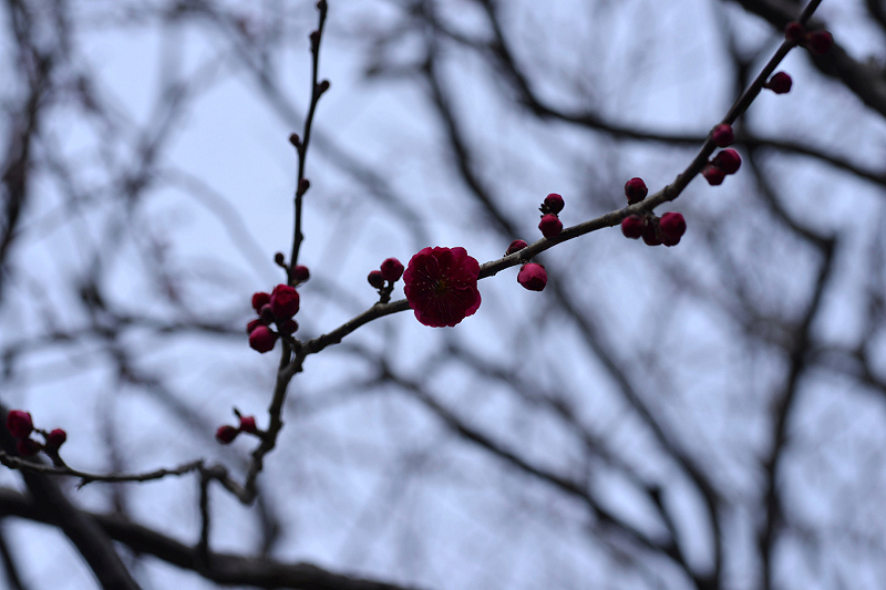 image0273