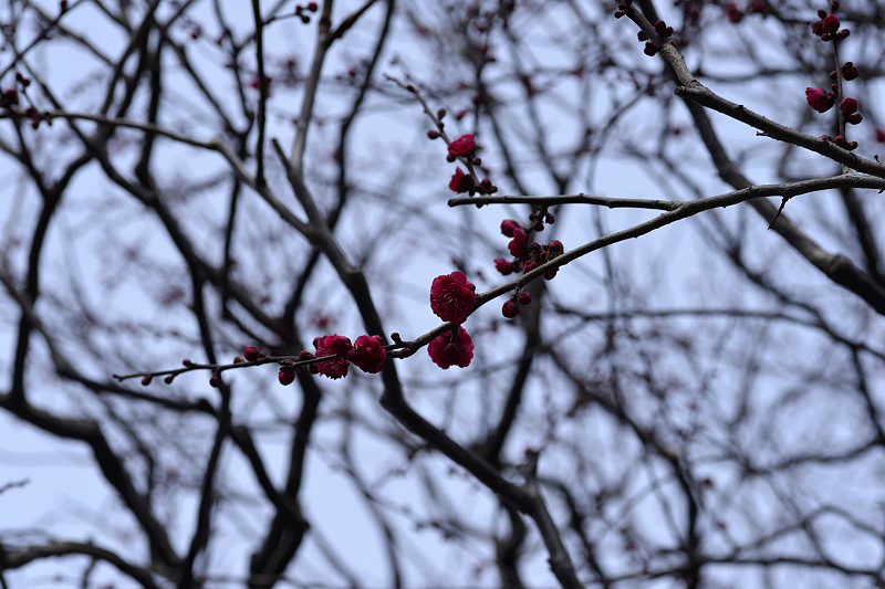 image0274