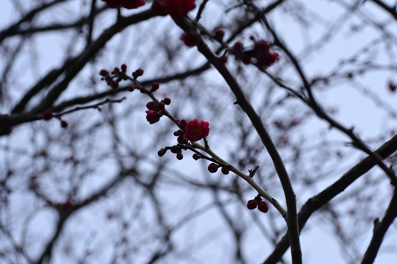 image0276