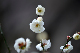 image0160