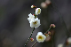 image0161