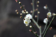 image0162
