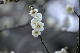 image0163