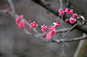 image0164