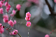 image0172