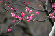 image0176