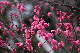 image0178
