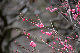image0183