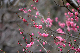 image0187
