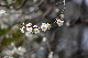 image0191