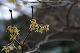 image0194