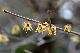 image0196