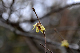 image0198