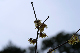 image0205